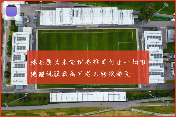 林孔愿为米哈伊洛维奇付出一切唯他能说服我离开尤文转投都灵