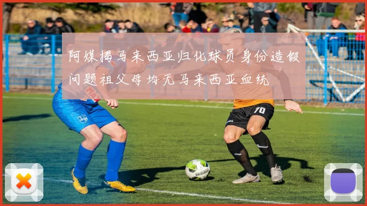阿媒揭马来西亚归化球员身份造假问题祖父母均无马来西亚血统